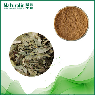 Senna Leaf Extract