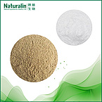 Rice Bran Extract