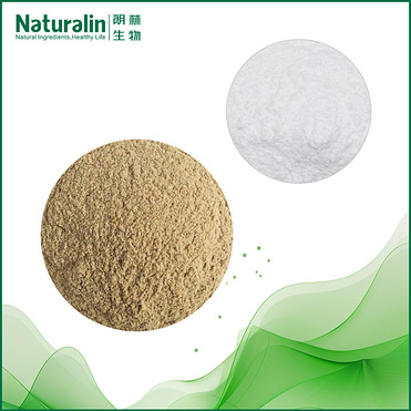 Rice Bran Extract