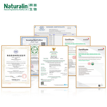 Schizonepeta Extract