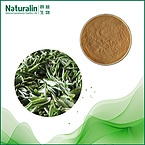 White Tea extract