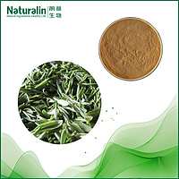White Tea extract