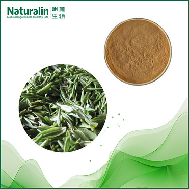 White Tea extract