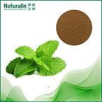 Peppermint Extract
