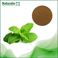 Peppermint Extract
