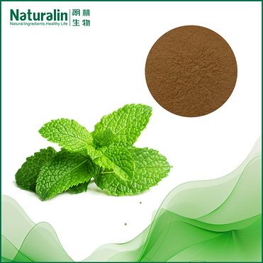 Peppermint Extract