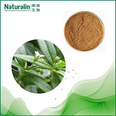 Spreading Hedyotis Herb Extract