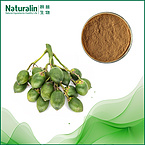 Areca Nut Extract