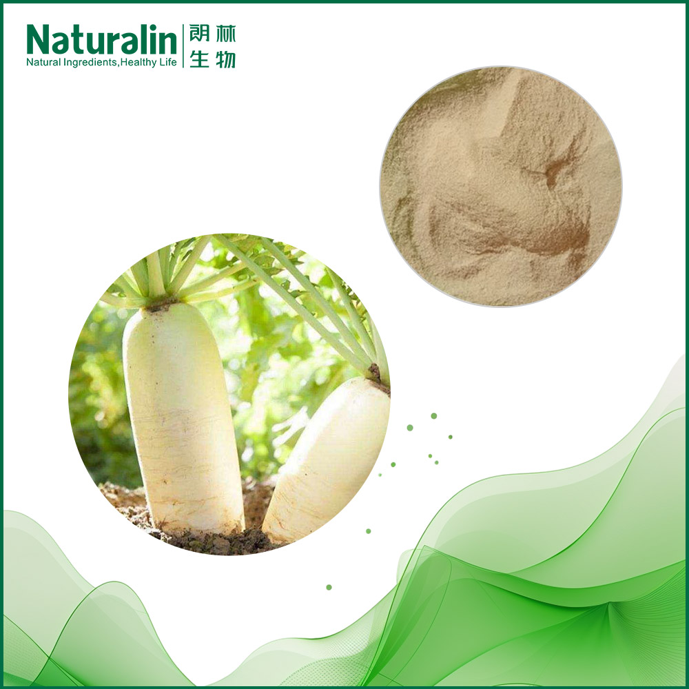 White Radish Extract