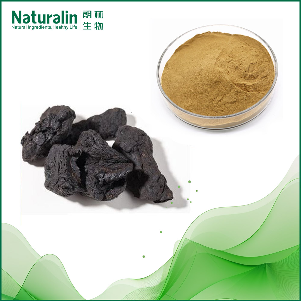 Prepared Rehmannia Extract