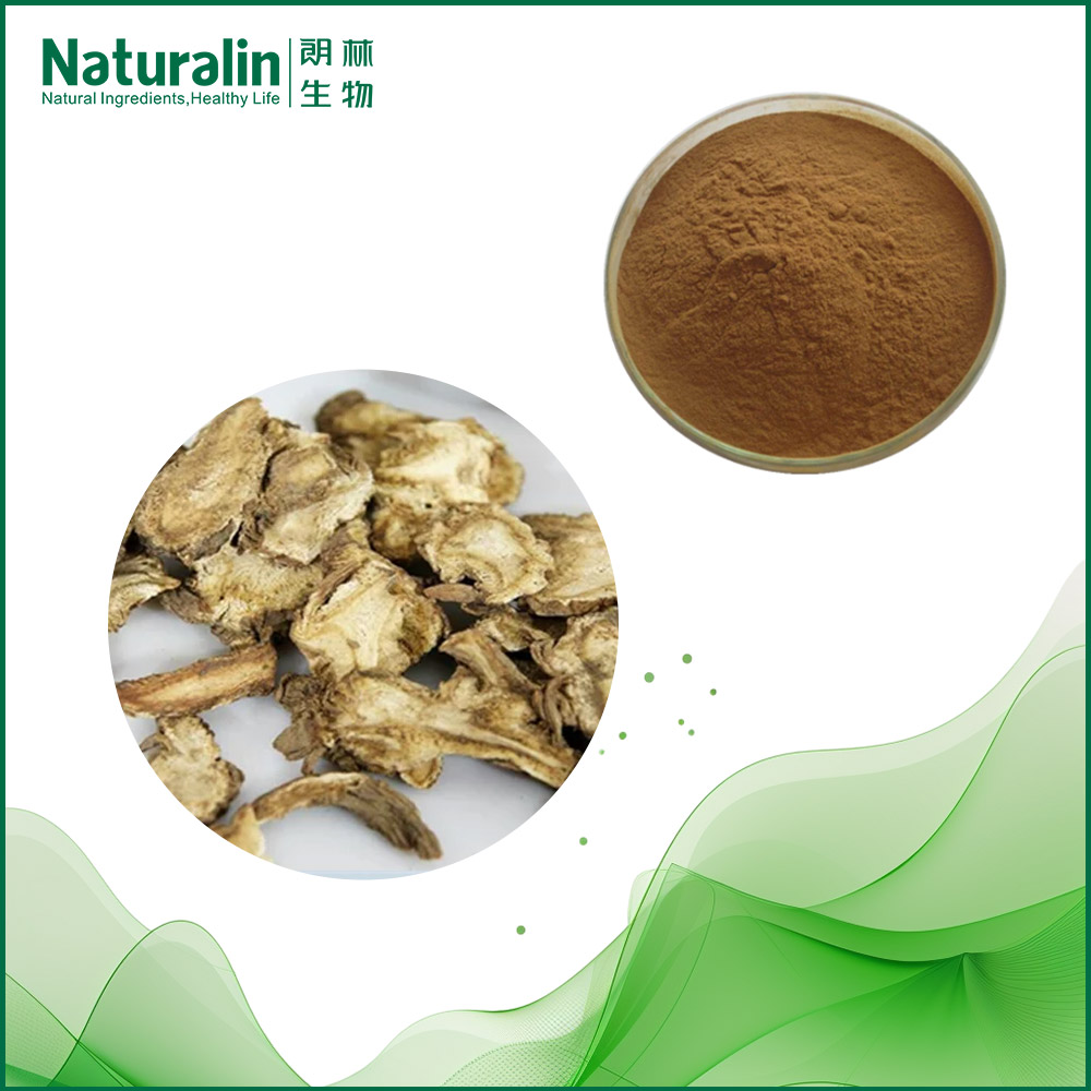 Angelicae Pubescentis Extract