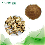 Angelicae Pubescentis Extract