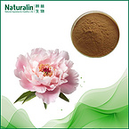 White Peoney Extract