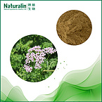 Valerian Root Extract