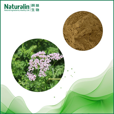 Valerian Root Extract