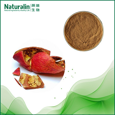 Pomegranate Skin Extract