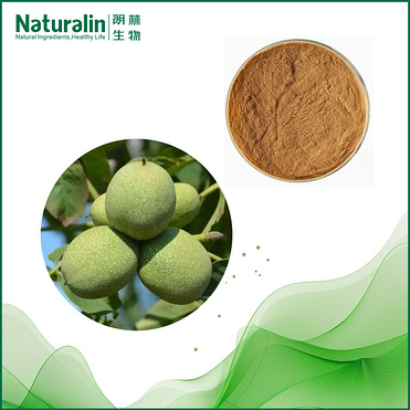Walnut Extract