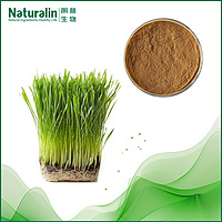 Wheat Grass Extract