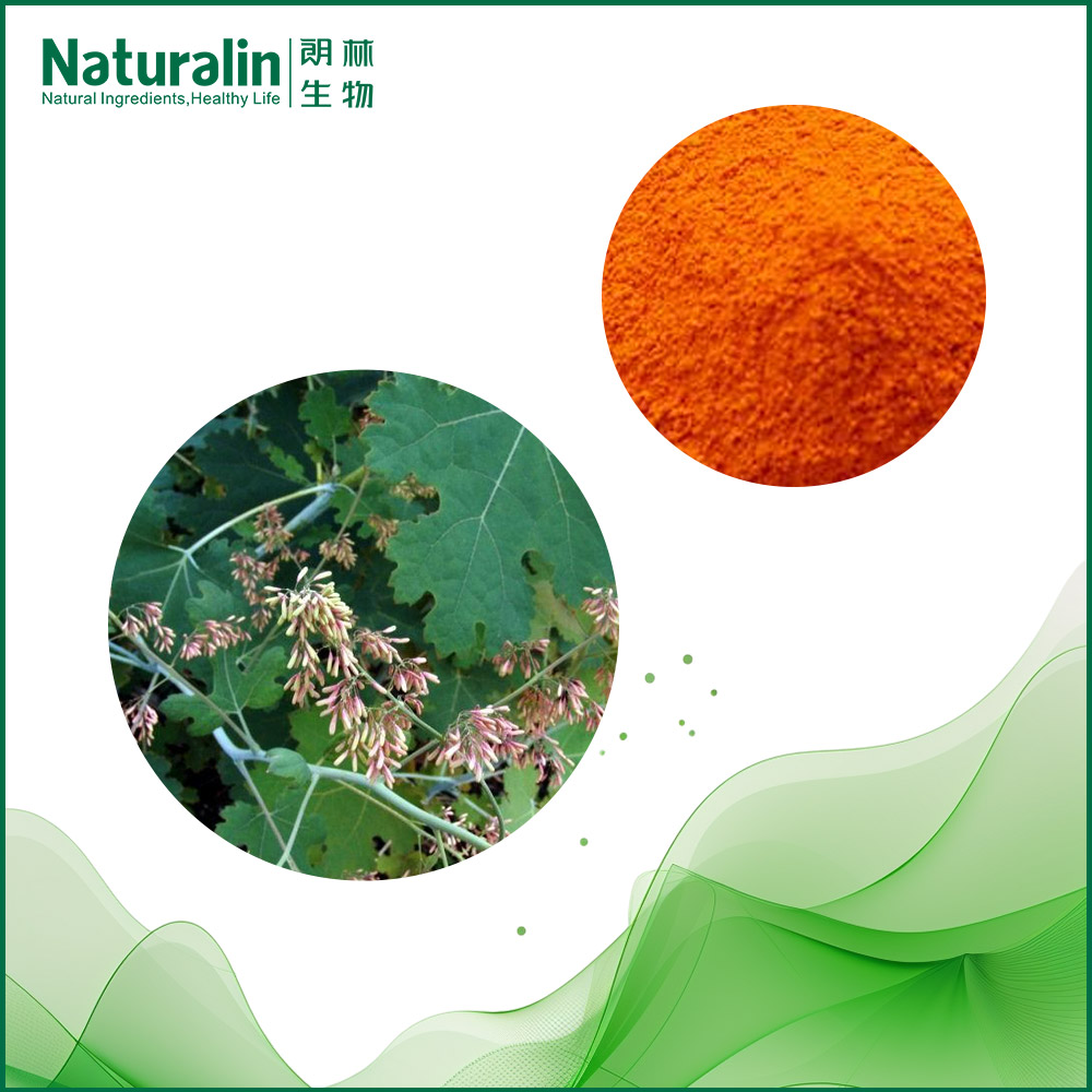 Macleaya Cordata Extract