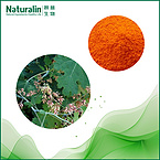 Macleaya Cordata Extract