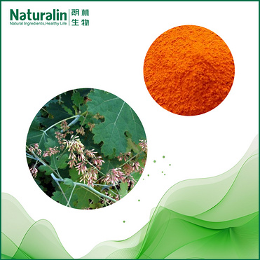 Macleaya Cordata Extract