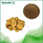 Rhubarb Root / Pieplant extract