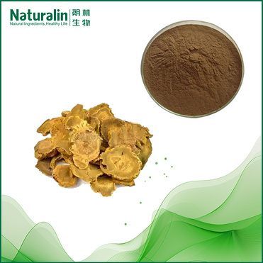 Rhubarb Root / Pieplant extract