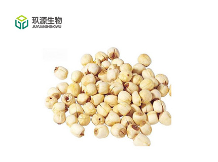 Lotus Seed Extract