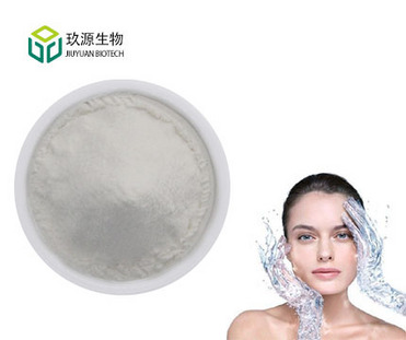 Hyaluronic Acid Powder