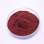 Red Yeast Rice Extract