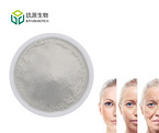 Collagen Powder