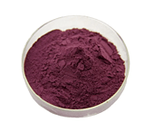 Mulberry Fruit Powder