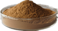 Olive leaf Extract