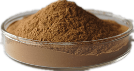 Olive leaf Extract
