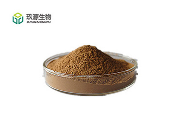 Dandelion Flower Extract