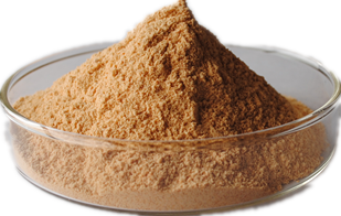 Ginkgo Biloba Extract