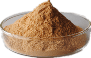 Ginkgo Biloba Extract