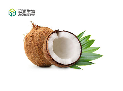 Coconut Powder
