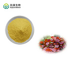 Fisetin Powder