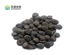 Griffonia Seed Extract