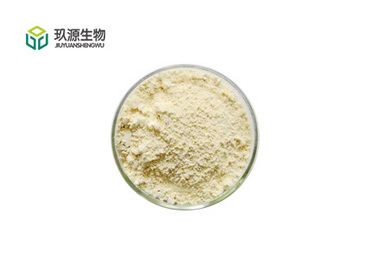 Fresh Apple Powder