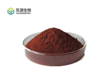 Pine Bark Extract