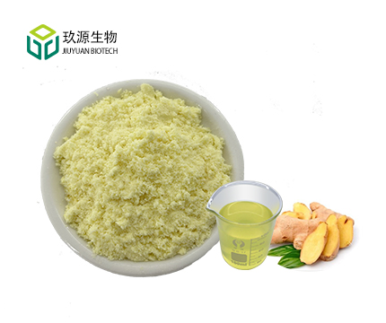 Ginger Extract Gingerol Powder