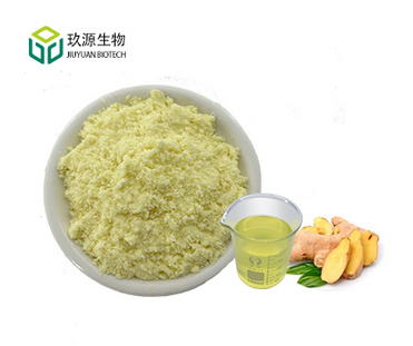 Ginger Extract Gingerol Powder