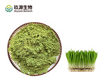 Wheatgrass Powder