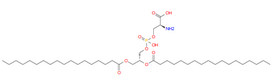 Phosphatidylserine(PS)