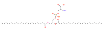 Phosphatidylserine(PS)