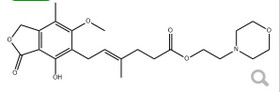Mycophenolate mofetil