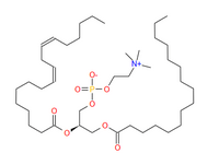 Phosphatidylcholine(PC)