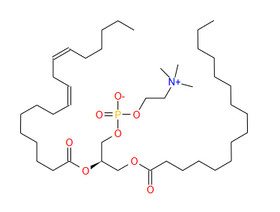 Phosphatidylcholine(PC)